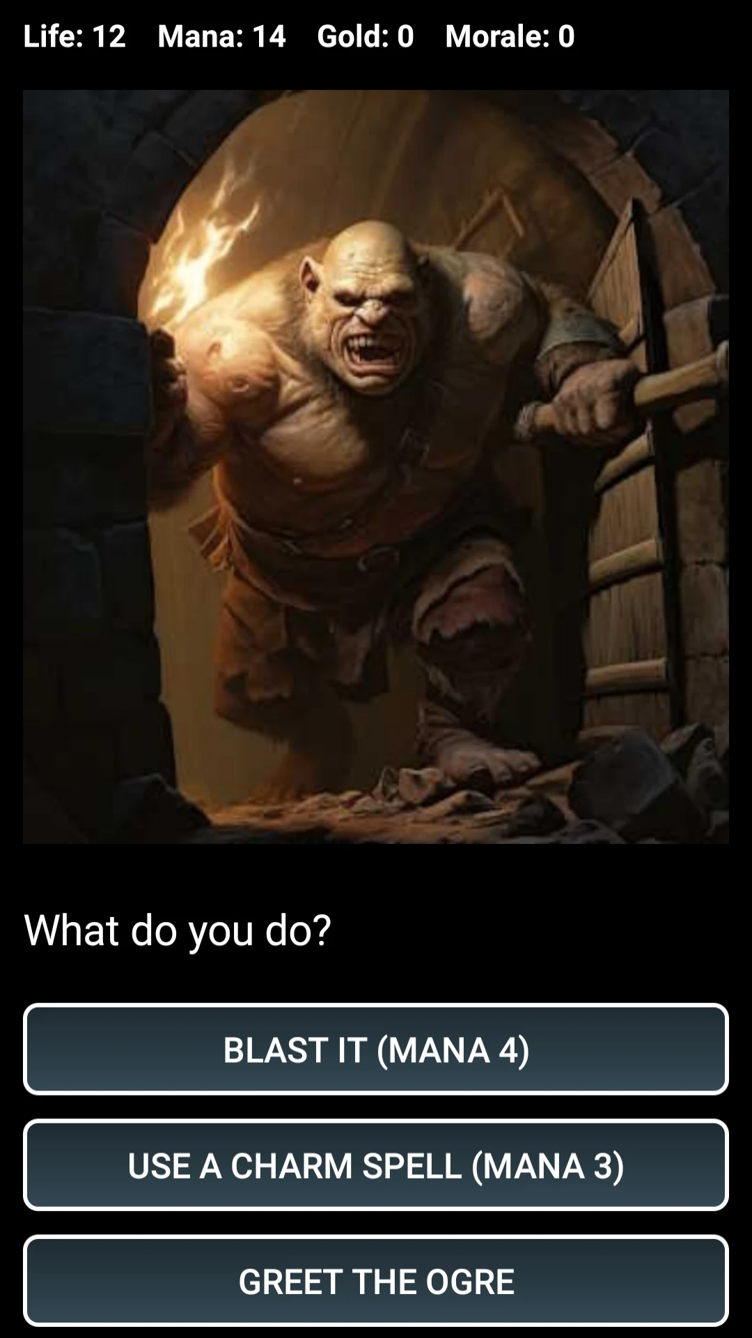 Dungeons and Decisions RPG screenshot